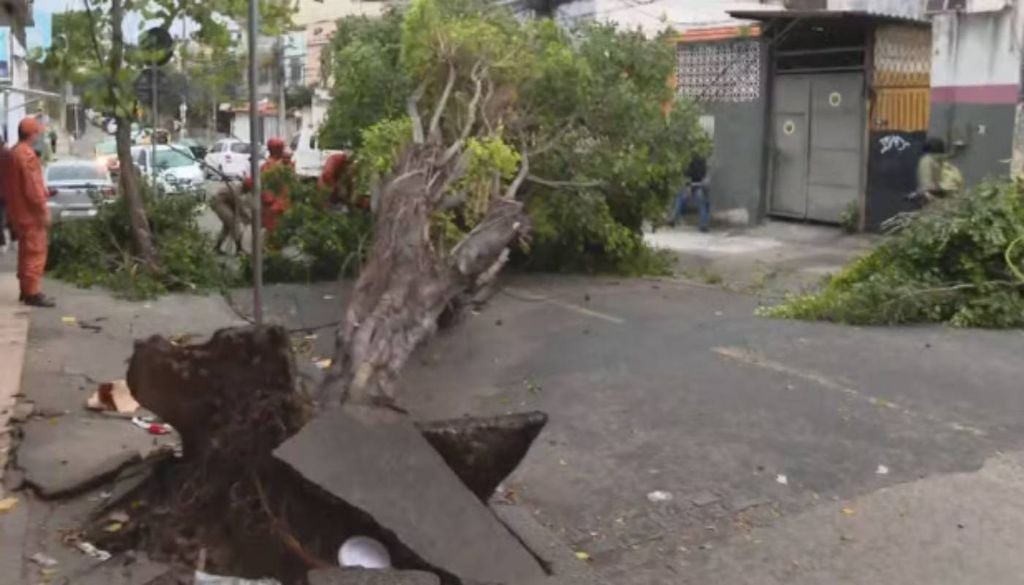 Árvore caída na Zona Norte do Rio após ventania. Foto: Reprodução / TV Globo Árvore caída na Zona Norte do Rio após ventania. Foto: Reprodução / TV Globo