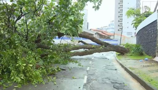 Chuvas intensas em Salvador interditam vias e suspendem travessias; veja imagens