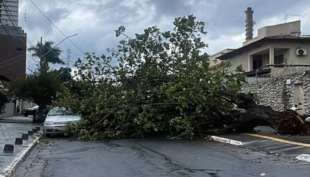 Ventos fortes de 49 km/h causaram estragos em Goiânia. Foto: Reprodução