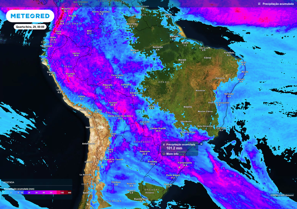Previsão de chuva acumulada até o final da terça-feira (28), de acordo com o ECMWF.