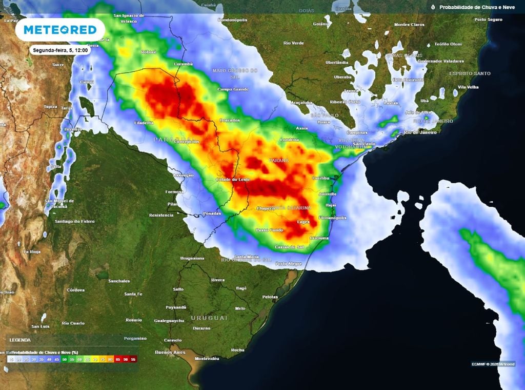 Previsão da probabilidade de precipitação (%) para segunda-feira (5) às 12h, segundo o modelo europeu ECMWF.