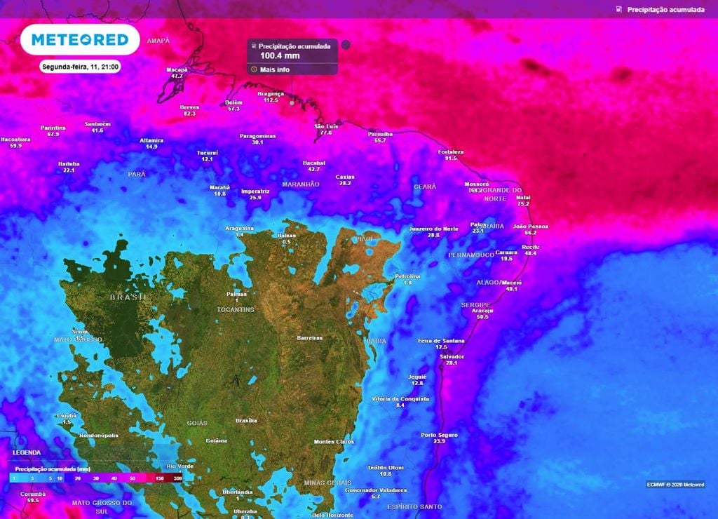 Previsão do acumulado de precipitação (em mm) entre hoje (6) e a segunda-feira (11) à noite (21h), segundo o modelo europeu ECMWF.