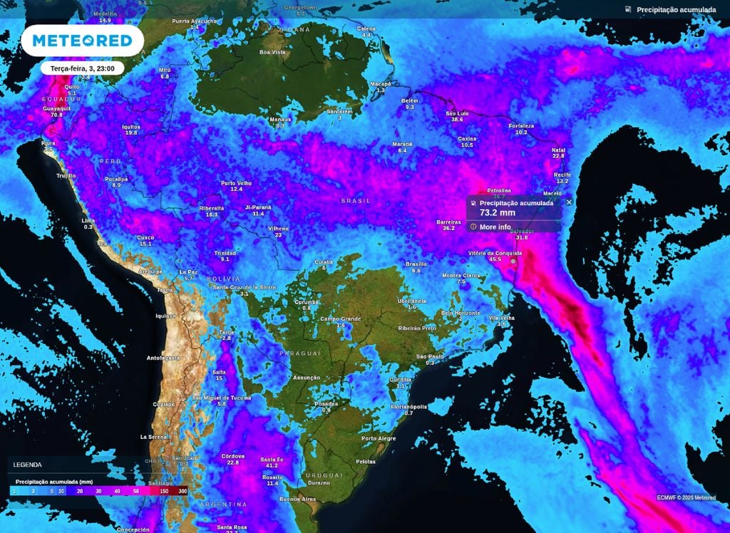 Chuva acumulada entre segunda (2) e terça-feira (3), de acordo com o modelo ECMWF.