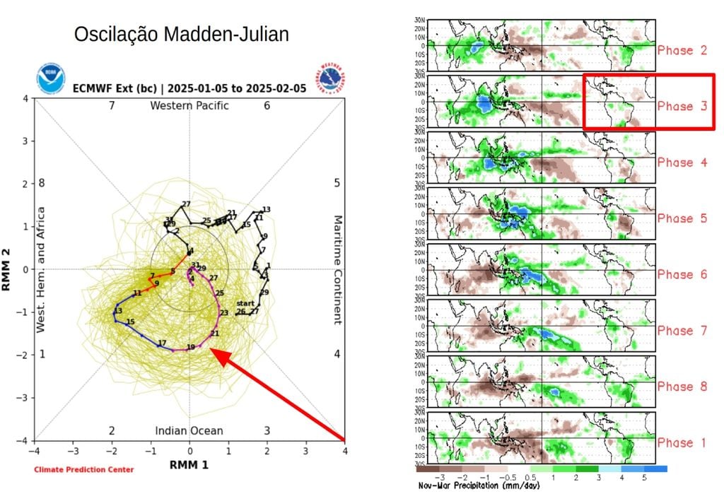 mjo mjo