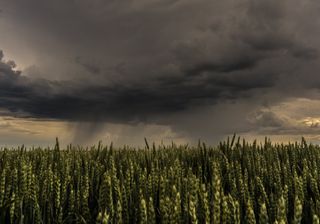 Chuvas na Região Sul e mudança do tempo em SP e no RJ