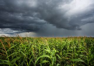 Chuvas podem romper a seca severa no Brasil central durante a primeira semana de Outubro. Entenda a situação