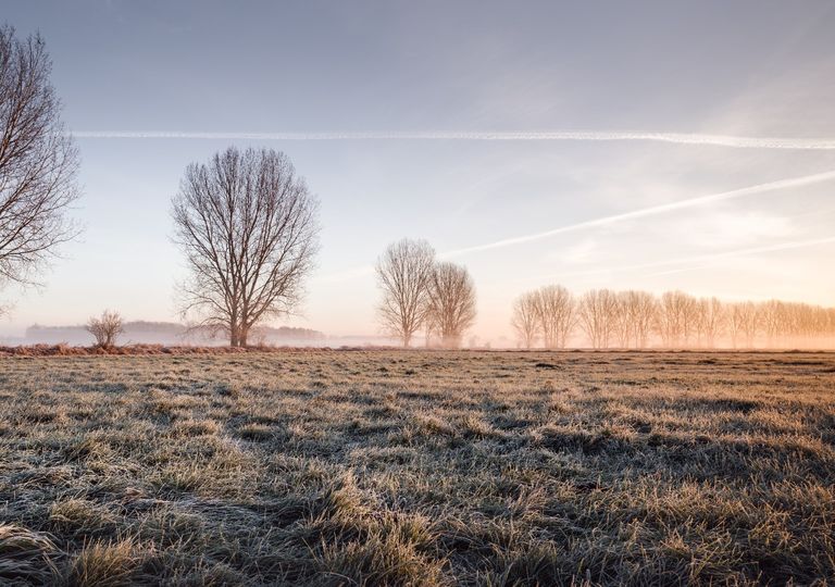 frio e geada no Sul frio e geada no Sul