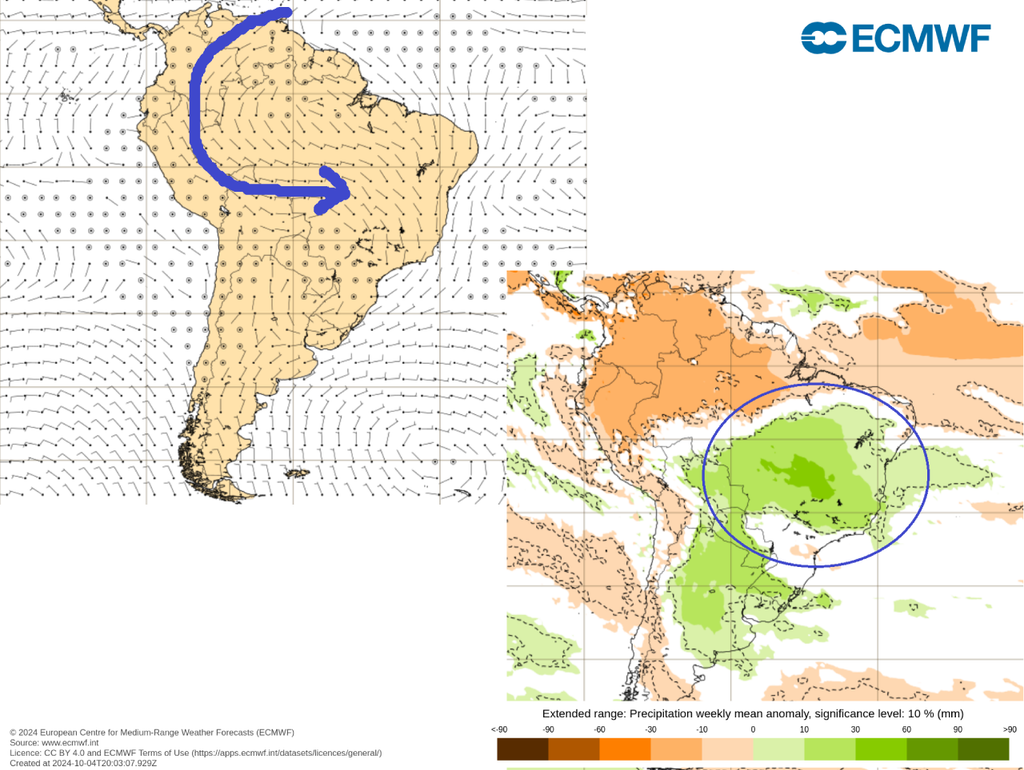 previsão, ecmwf, chuva, vento previsão, ecmwf, chuva, vento