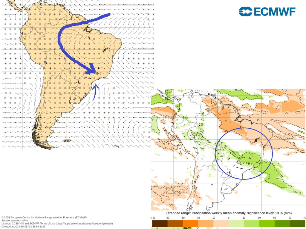 previsão, ecmwf, chuva, vento previsão, ecmwf, chuva, vento