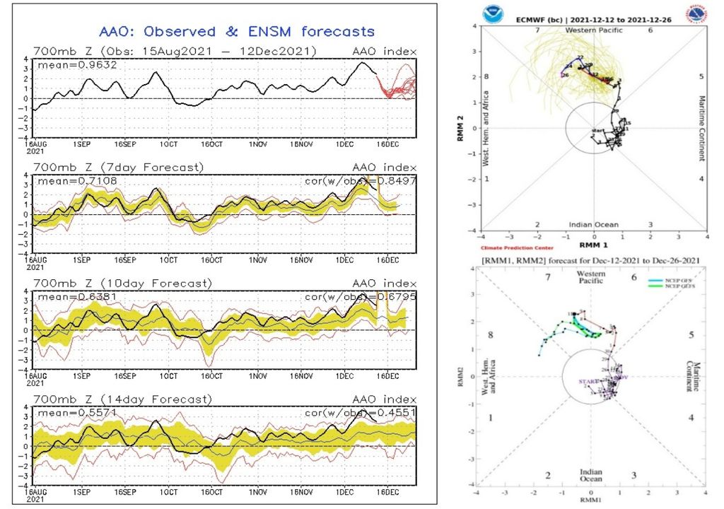 AAO, MJO, GFS, ECMWF AAO, MJO, GFS, ECMWF
