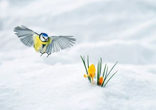 Meteo, ci aspetta un mese di aprile molto dinamico e con qualche sorpresa: la linea di tendenza del modello di Meteored