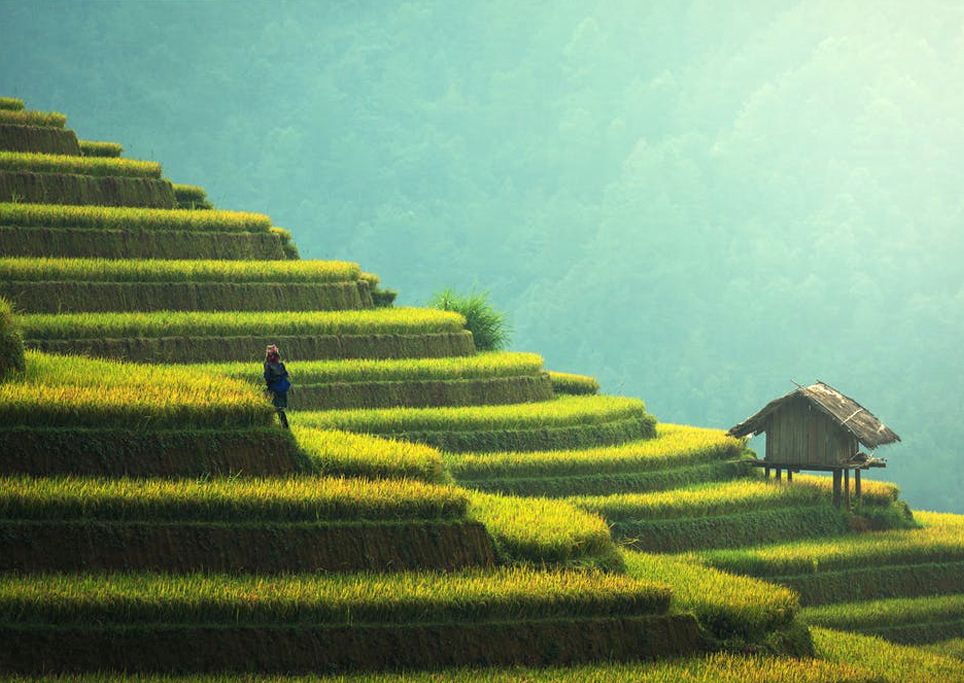 Alimentazione e cambiamento climatico Alimentazione e cambiamento climatico