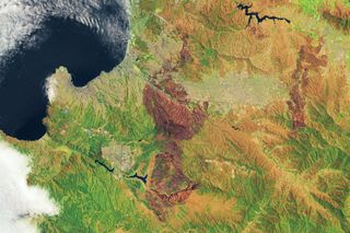 Las cicatrices mortíferas del infierno generadas por los incendios forestales en Valparaíso, Chile