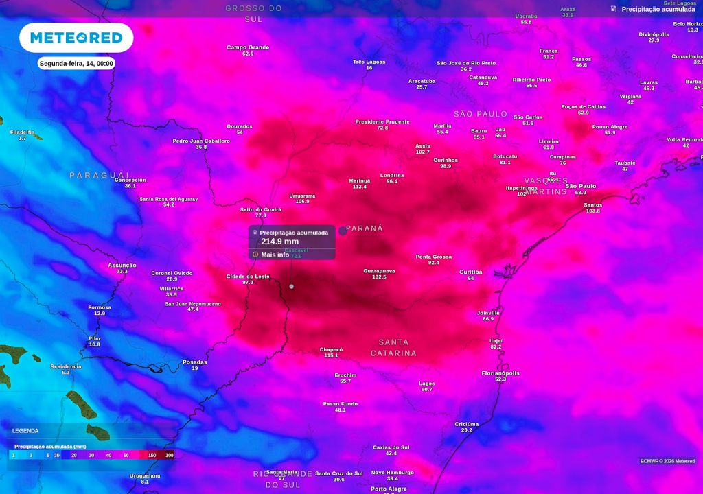 Previsão de chuva acumulada até o final do domingo (12), segundo o ECMWF.