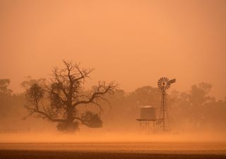 Ciclón día 1: tempestad de polvo y daños en estructuras