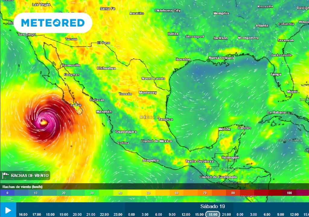 Modelo ECMWF - Ráfagas de viento en km/h