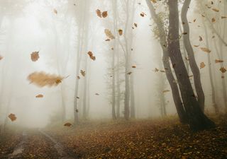 Ciclón Lisa y aire polar en territorio mexicano