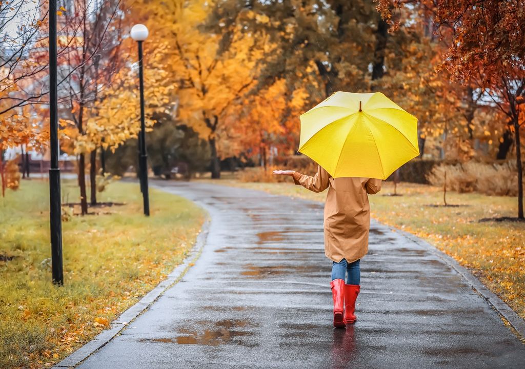 persona paseando en parque mojado por la lluvia; paraguas amarillo