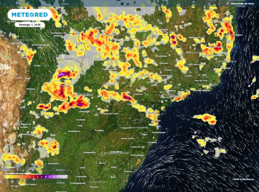Previsão de densidade de raios para o domingo (1º) à tarde (14h), segundo o modelo europeu ECMWF, destacando as áreas com risco de tempestades.