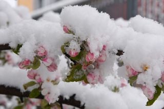 Il ciclone Deborah si intensifica: neve a 400 metri, gelate in pianura e raffiche a 110 km/h