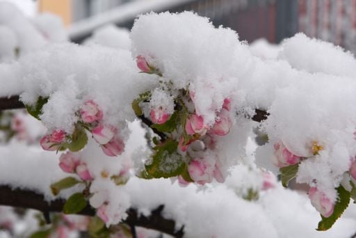 Il ciclone Deborah si intensifica: neve a 400 metri, gelate in pianura e raffiche a 110 km/h