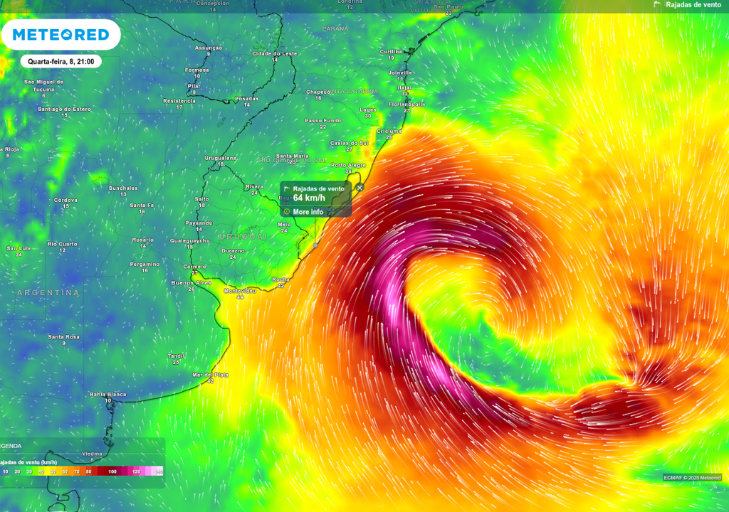 Previsão de rajada de vento nesta quarta-feira (8), de acordo com o ECMWF.