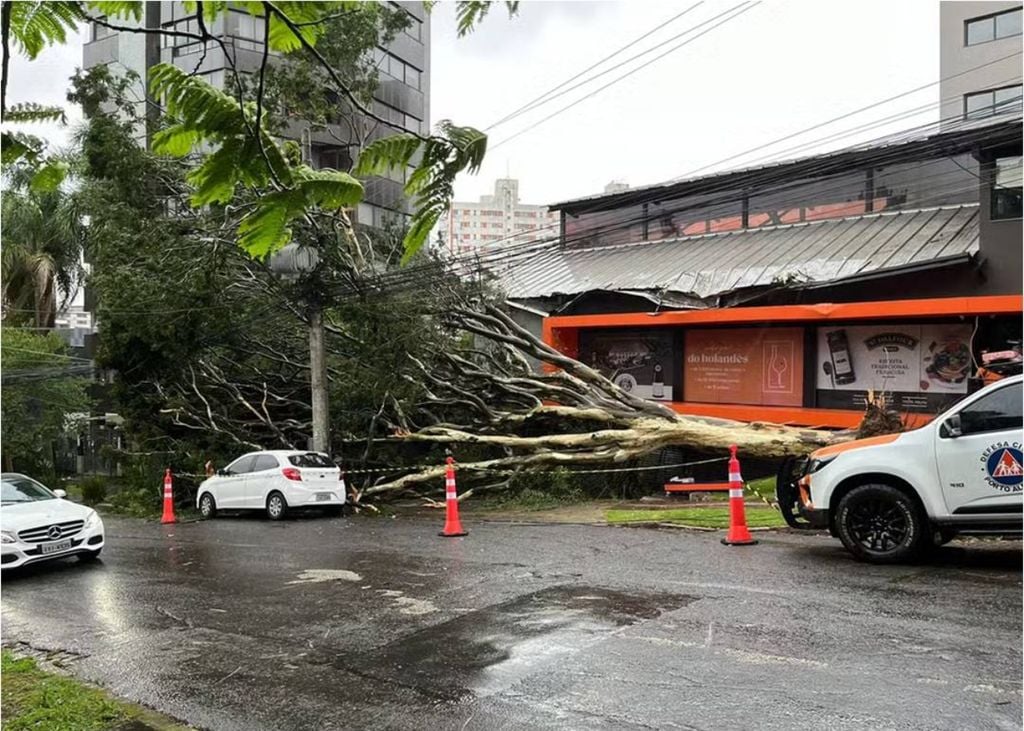 Árvore caída, Porto Alegre