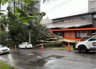 Ciclone extratropical: linha de instabilidade provoca ventos de até 100 km/h e estragos no Rio Grande do Sul