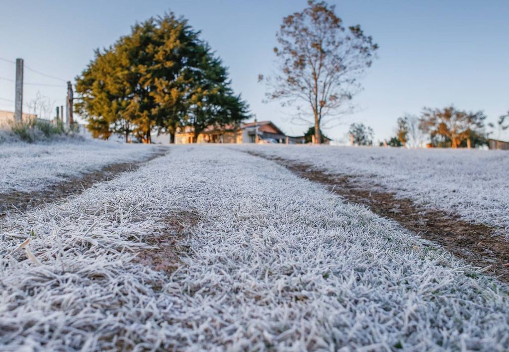 O mês de julho termina da mesma forma que começou: com muito frio e geadas em diversas regiões do Brasil.