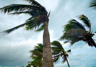 Ciclone se forma no Brasil na próxima semana: risco de rajadas de até 80km/h; confira onde