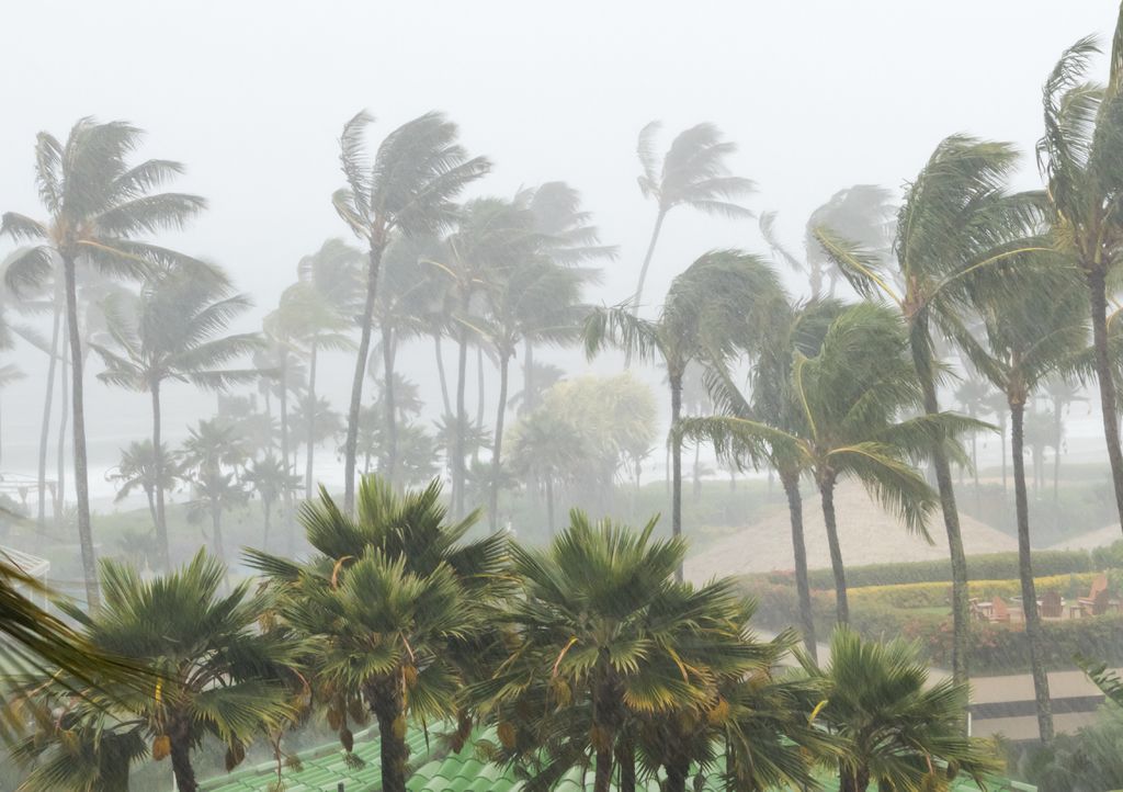 Previsão de chuvas intensas e fortes rajadas de vento deixam cidades do RS em alerta.
