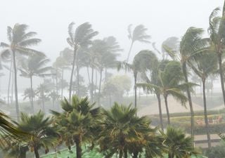 Ciclone traz alertas de chuvas intensas e rajadas de vento de até 90 Km/h entre esta quinta (17) e sexta (18) no RS