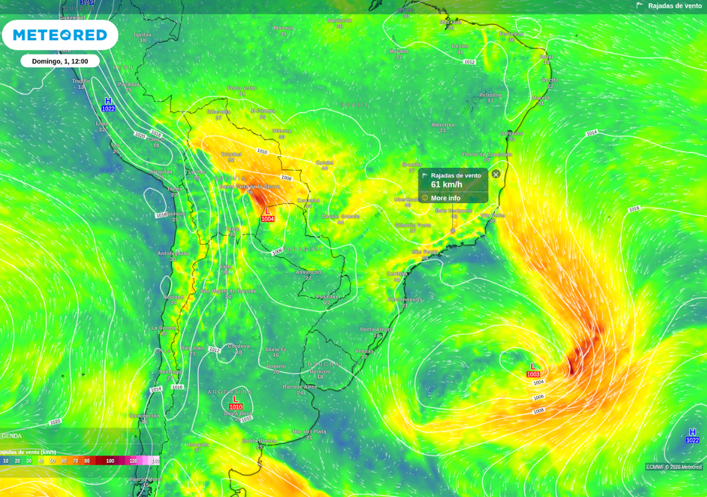 Previsão de rajada de vento neste domingo (1), de acordo com o ECMWFM.