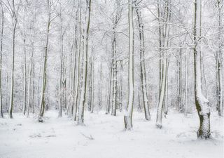 Forte maltempo verso la Sicilia, un metro di neve sull'Etna e mareggiate