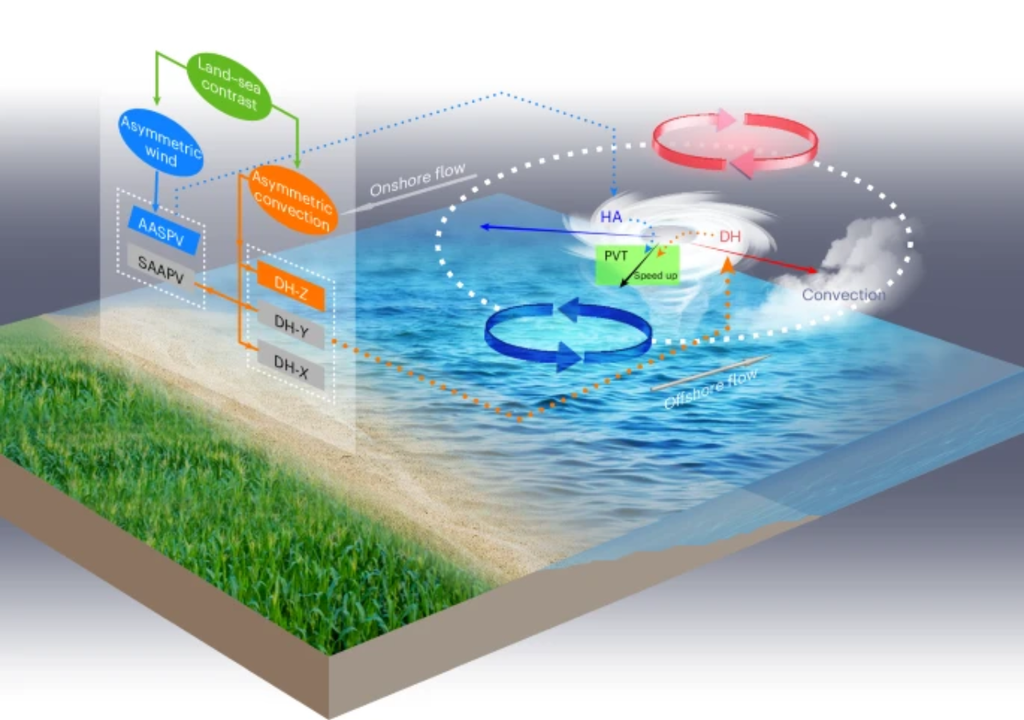 Diagrama esquemático. Diagrama que muestra los mecanismos físicos que explican la aceleración de los ciclones tropicales al tocar tierra, destacando el contraste térmico y de rugosidad entre el océano y el continente. Crédito: Nature Geoscience (2025).