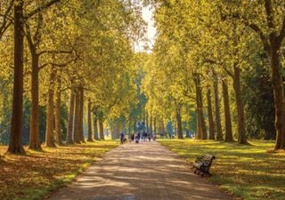 Cidades Verdes: onde a natureza e o betão se encontram