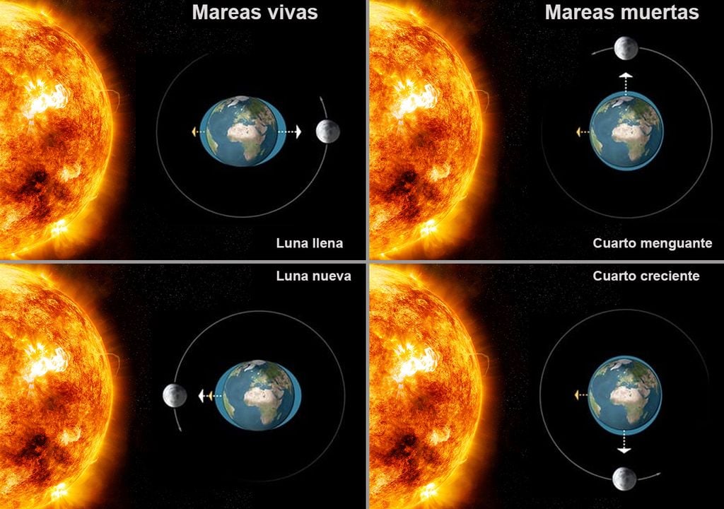Las mareas vivas o de sicigia, como las que tendremos este fin de semana, son más marcadas que las mareas habituales
