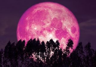 Cielos nocturnos de junio: estos son los eventos astronómicos más espectaculares del mes que no te podés perder