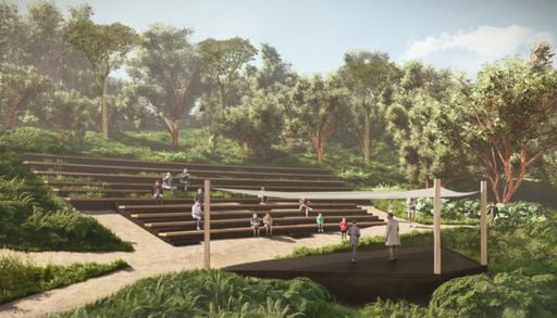 Ciencia a cielo abierto en el sur: el proyecto que busca reconectar a Frutillar con su bosque nativo