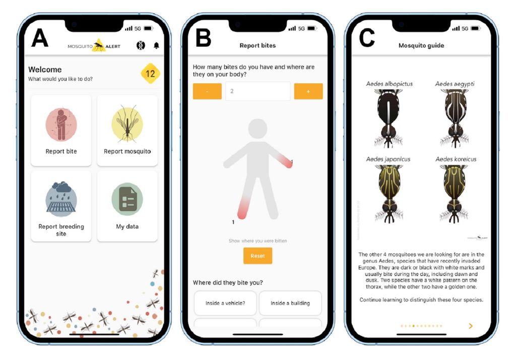 Global mosquito alert interface