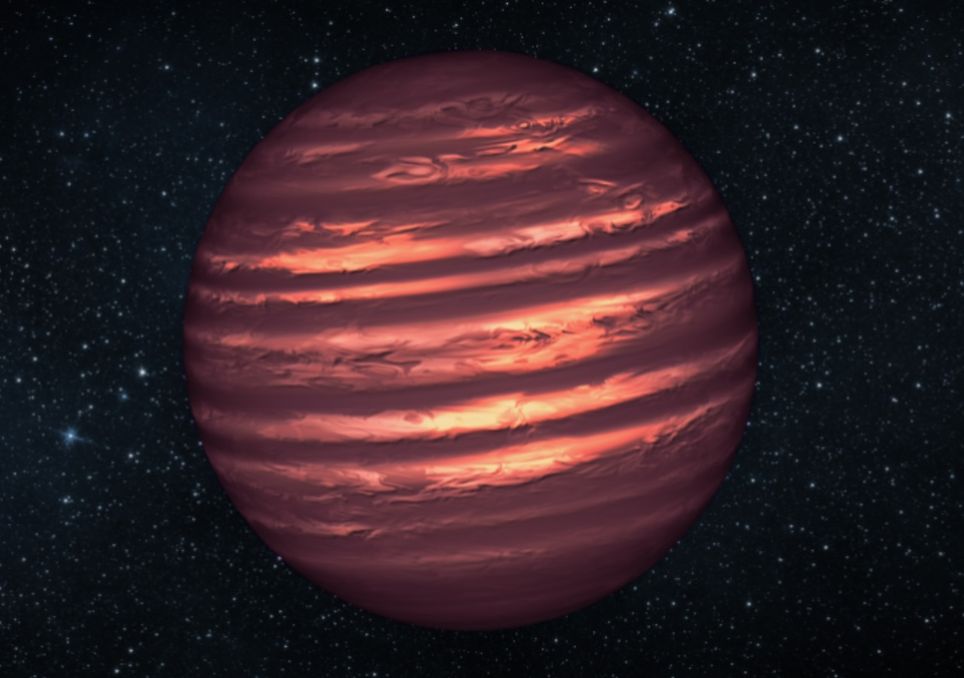 Census of 65 light-years from the Sun, brown dwarfs.