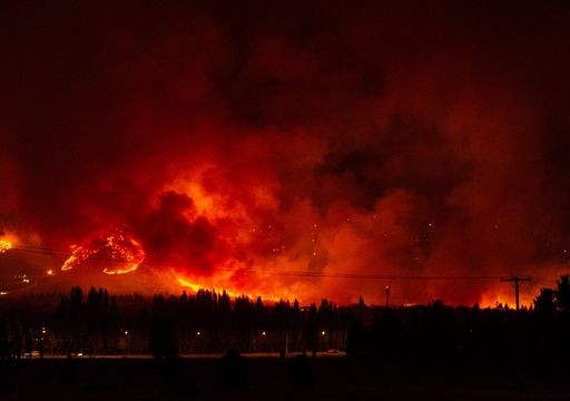 Ciencia contra el negacionismo: cient&iacute;ficos de 4 pa&iacute;ses prueban que el calentamiento global aviv&oacute; el fuego en Patagonia