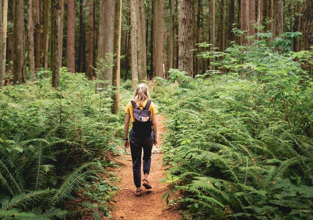 Mulher jovem andando no meio da floresta