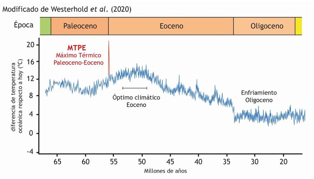 Evolución de la temperatura media global durante los últimos 65 millones de años, evidenciando el aumento súbito entre el Paleoceno y el Eoceno en 8°C (Fuente: Historia de la Tierra)