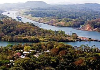 Científicos advierten: cada vez más especies cruzan de un lado al otro del Canal de Panamá y alteran los ecosistemas