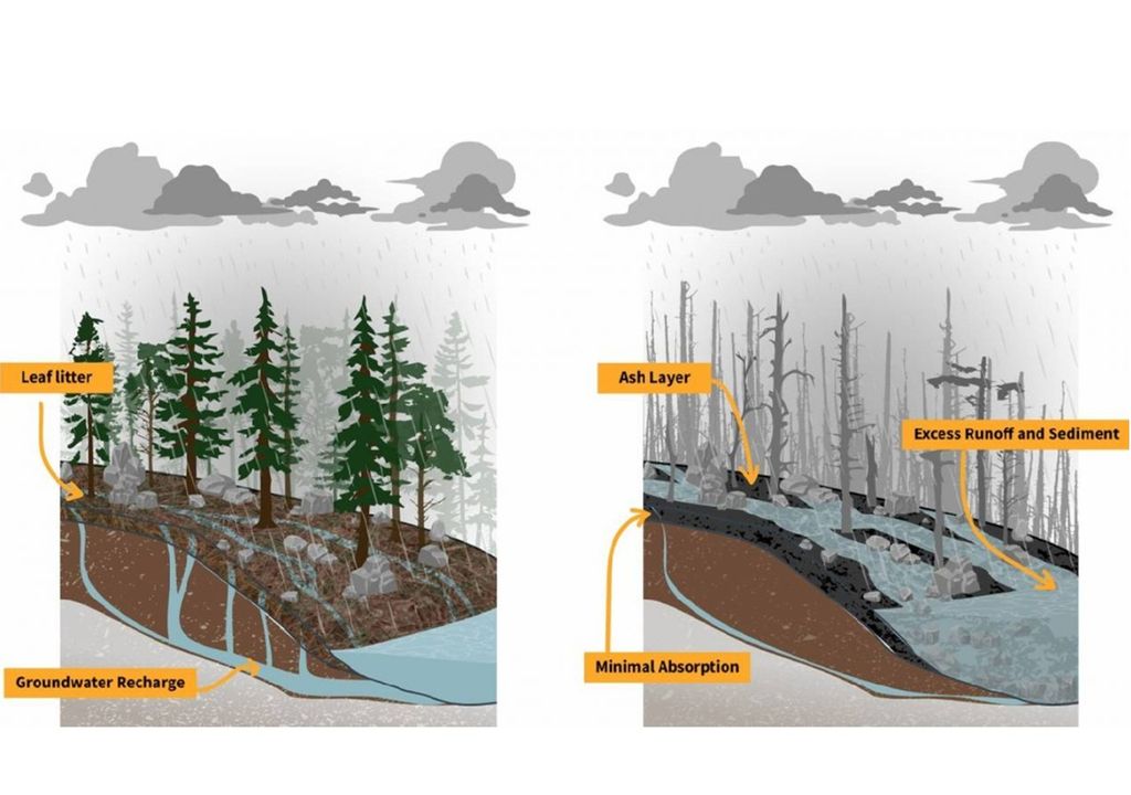 La capacidad de una cuenca hidrográfica boscosa para absorber y filtrar las precipitaciones (izquierda), pero después de un incendio, la cubierta vegetal, las propiedades del suelo y los patrones de flujo de agua son diferentes. / CIRES