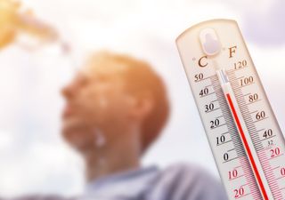 Científicos argentinos comprueban que las olas de calor afectan la fertilidad masculina