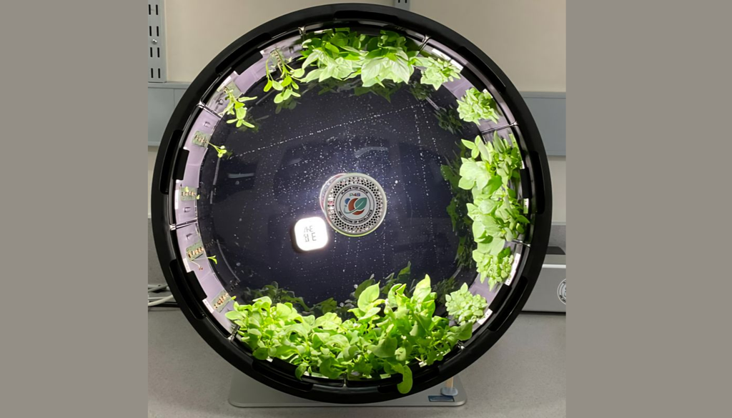 Un clinostato 2D que simula condiciones de microgravedad para estudiar cómo podrían desarrollarse cultivos en futuras misiones espaciales. Créditos: Dr. Guillermo Toro / CEAF.