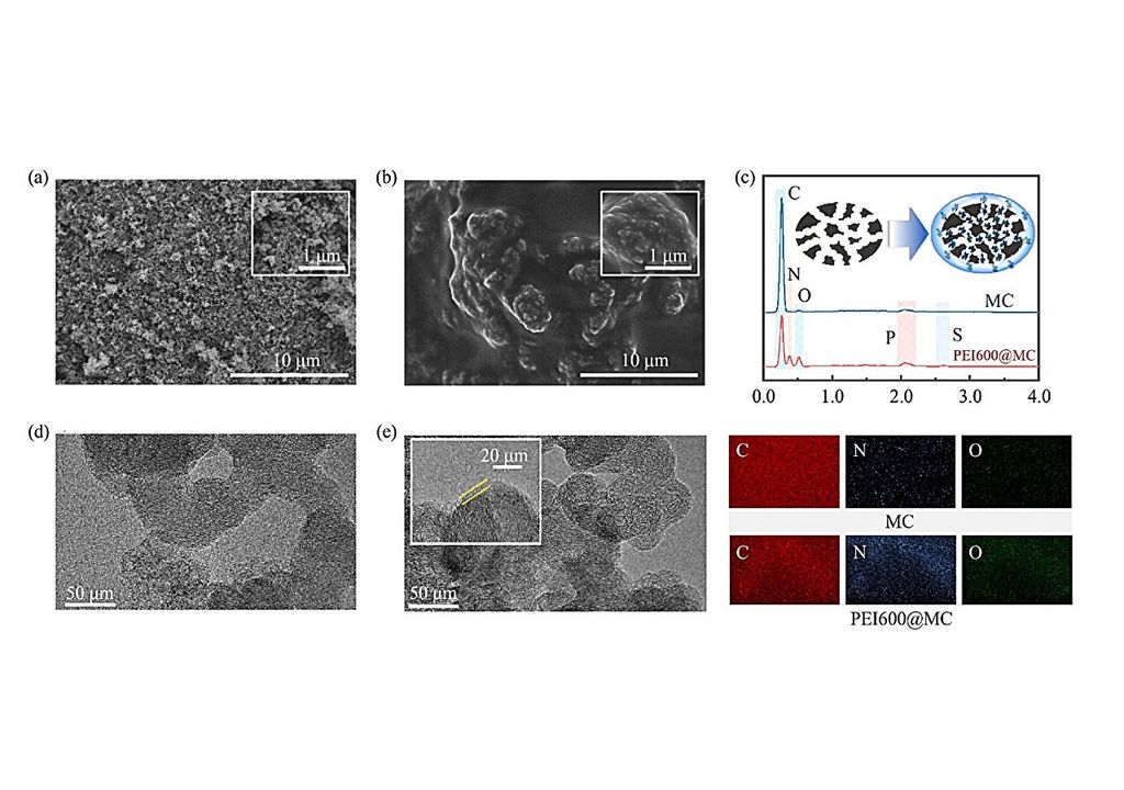 biocarbene cambiamento climático