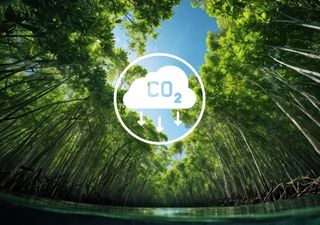 Científicos chinos crean un biocarbón para capturar CO₂, un avance crucial para combatir el cambio climático